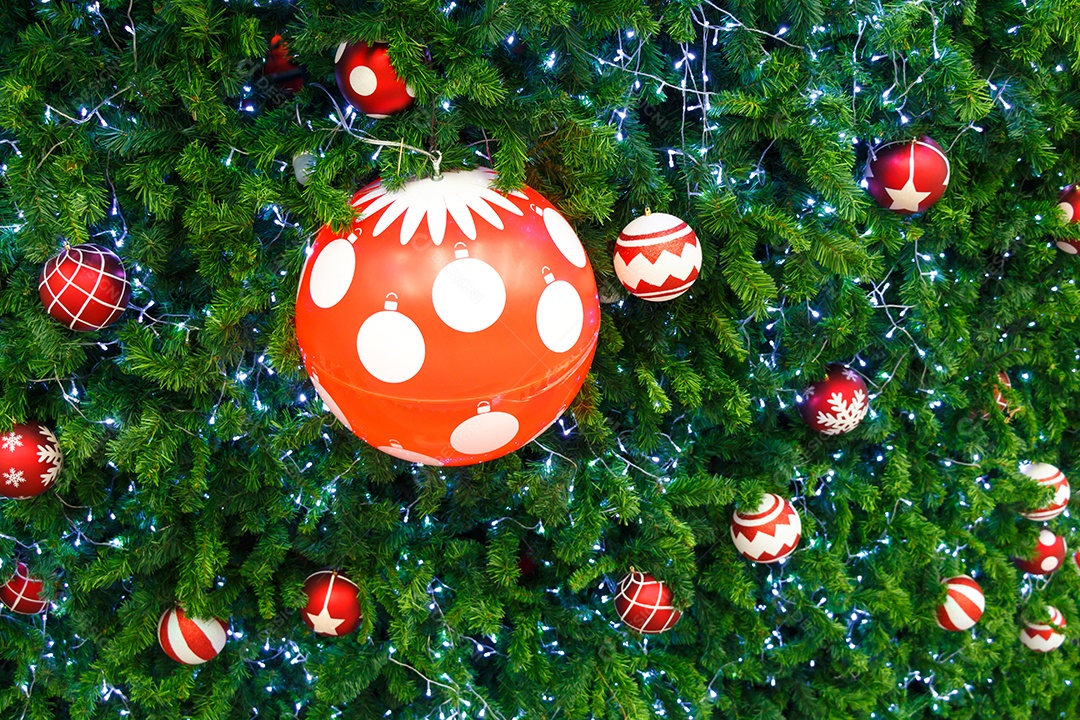 Bola vermelha e lâmpada foram decoradas em um pinheiro no dia de Natal