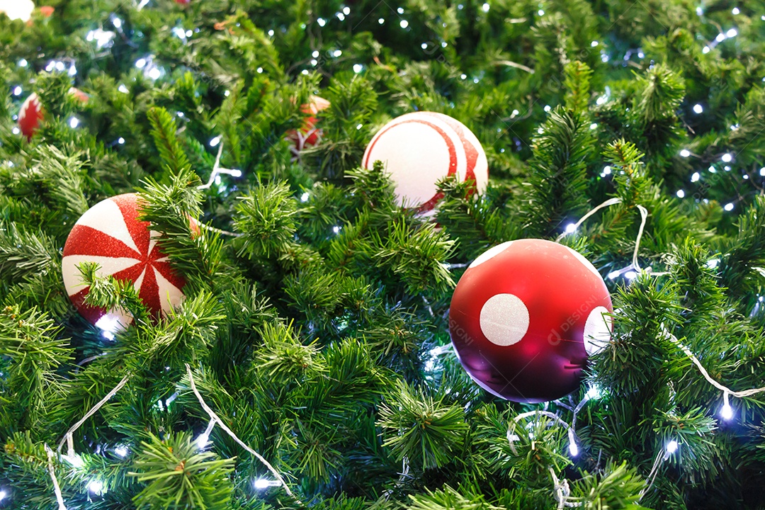 Bola vermelha e lâmpada foram decoradas em um pinheiro no dia de Natal