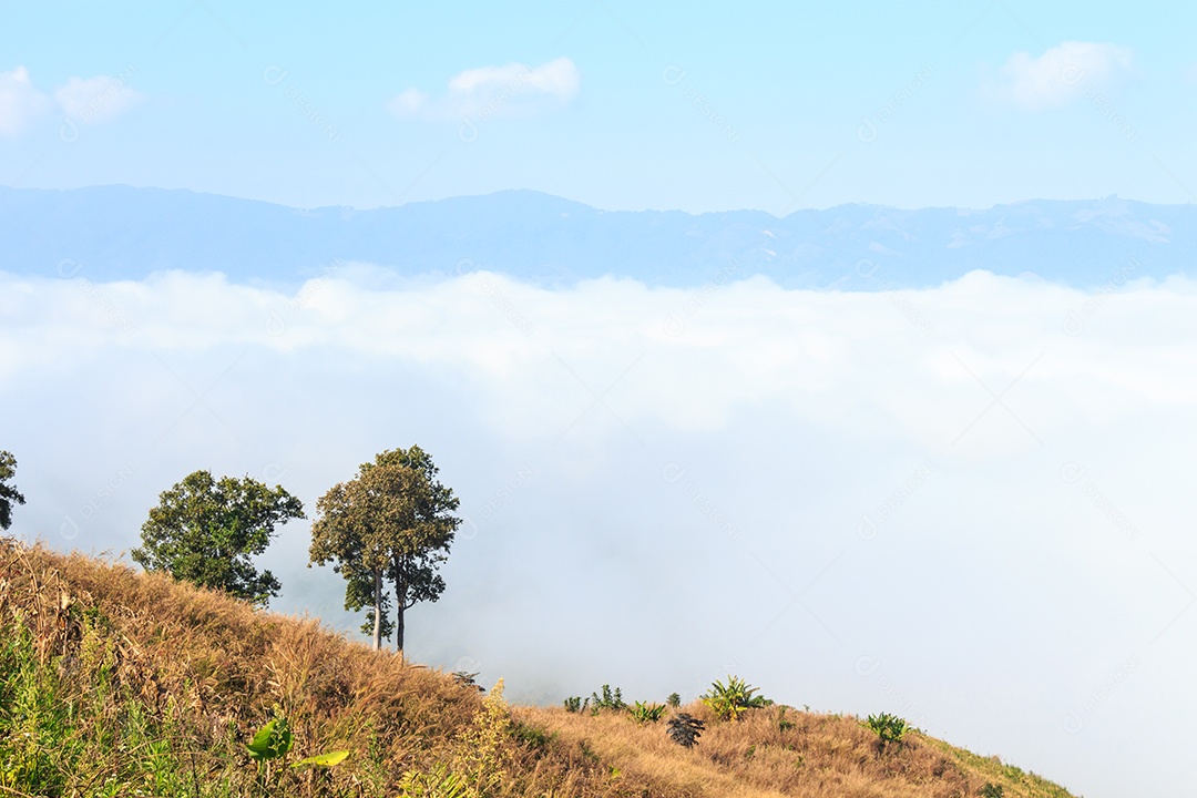Montanha e mar de neblina em Phu Chee Fah