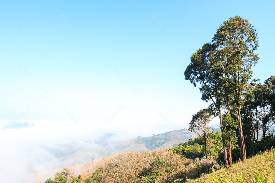 Montanha e mar de neblina em Phu Chee Fah