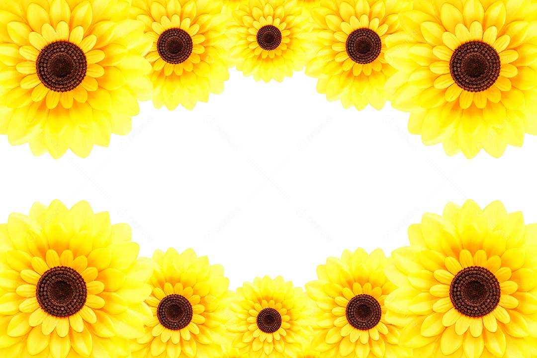 Fundo de girassol artificial Helianthus annuus