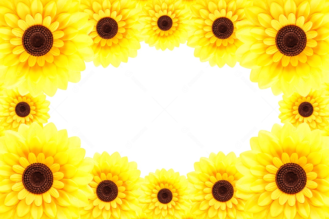 Fundo de girassol artificial Helianthus annuus