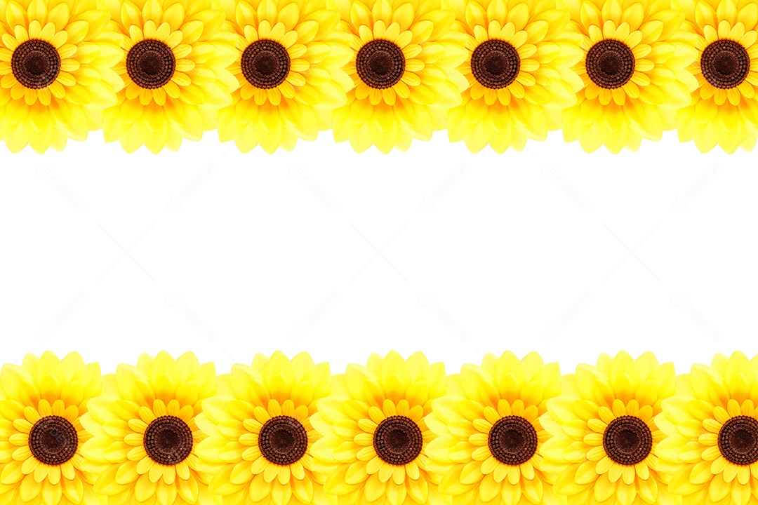 Fundo de girassol artificial Helianthus annuus