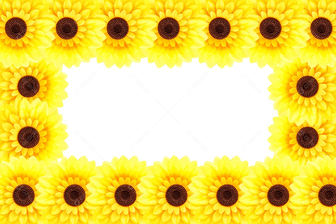 Fundo de girassol artificial Helianthus annuus