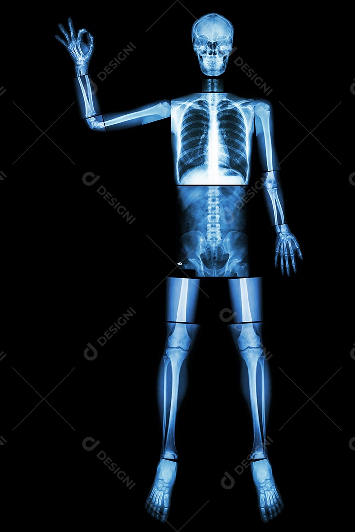 Esqueleto osso humano levanta a mão e faz sinal de OK