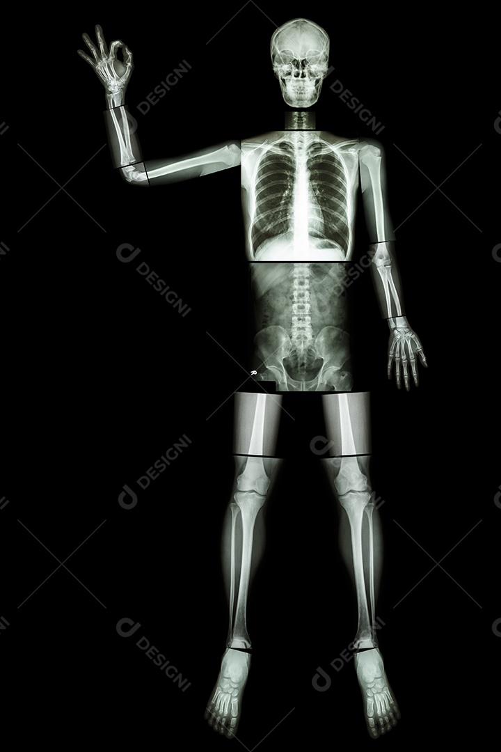 Esqueleto osso humano levanta a mão e faz sinal de OK