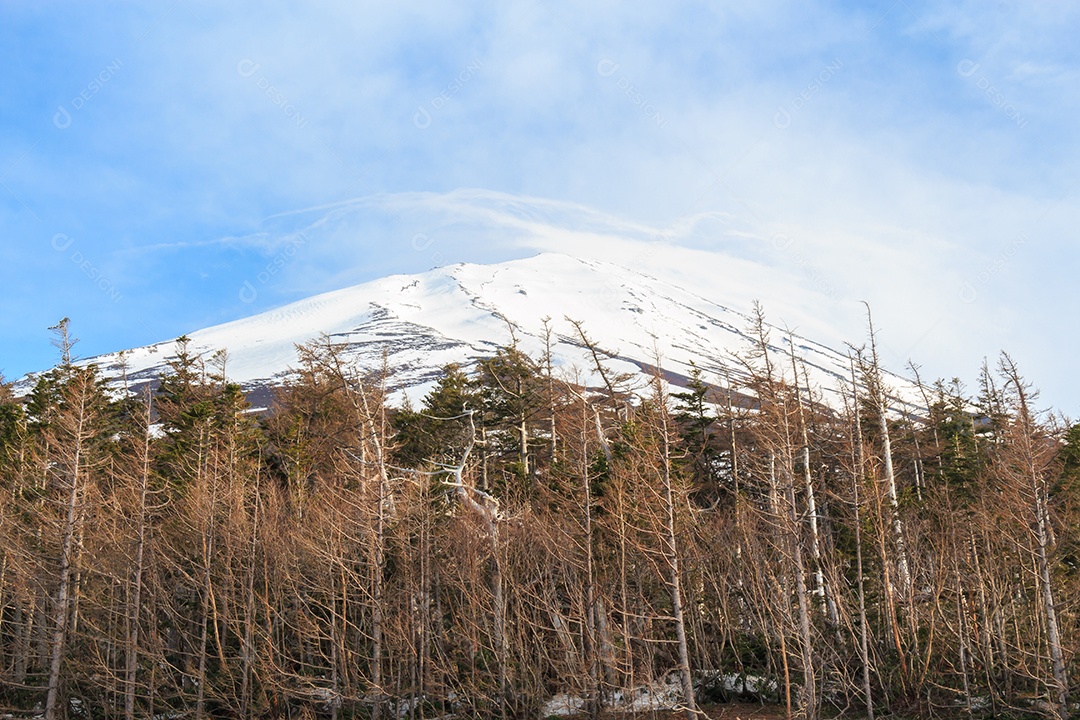 O topo do Fujiyama e uma árvore seca no Japão