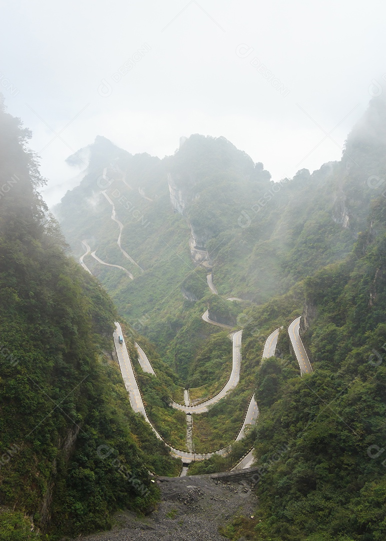Parque nacional reserva natural da montanha Tianzi e neblina China