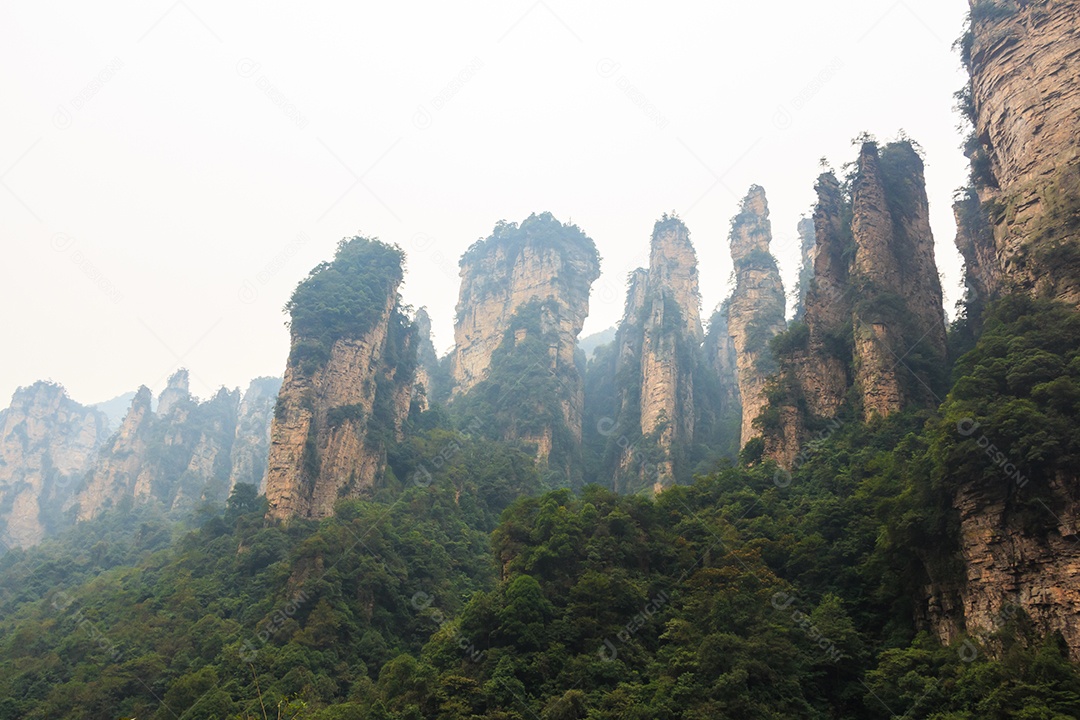 Parque nacional reserva natural da montanha Tianzi e neblina China