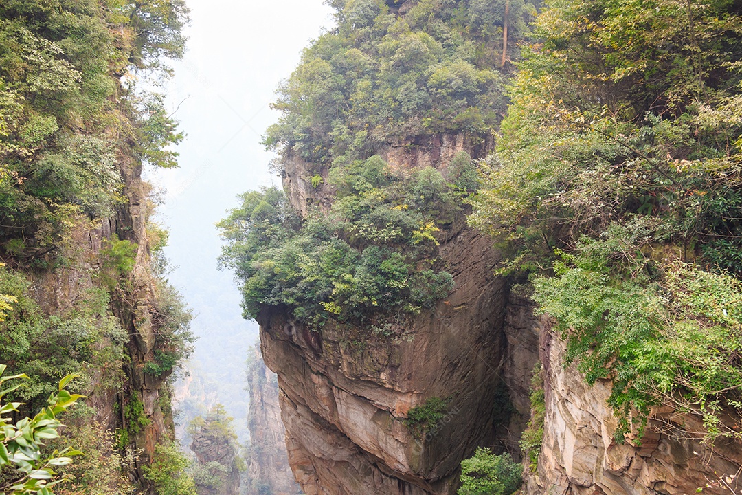 Parque nacional reserva natural da montanha Tianzi e neblina China