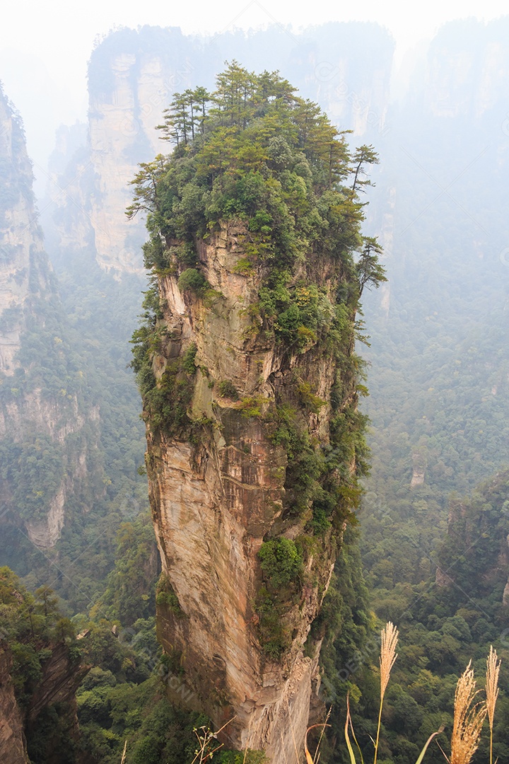 Montanha aleluia no parque nacional zhangjiajie