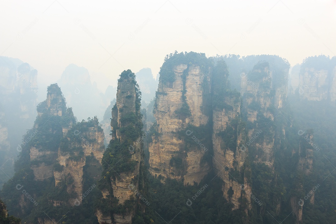 Parque nacional reserva natural da montanha Tianzi e neblina China