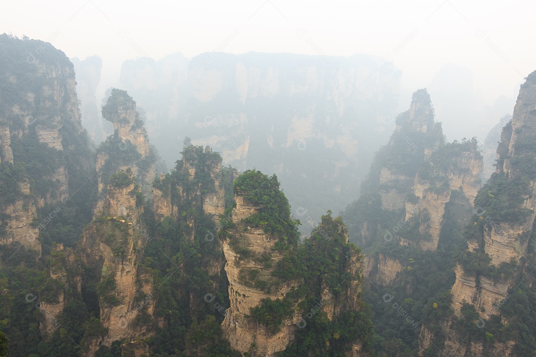Parque nacional reserva natural da montanha Tianzi e neblina China