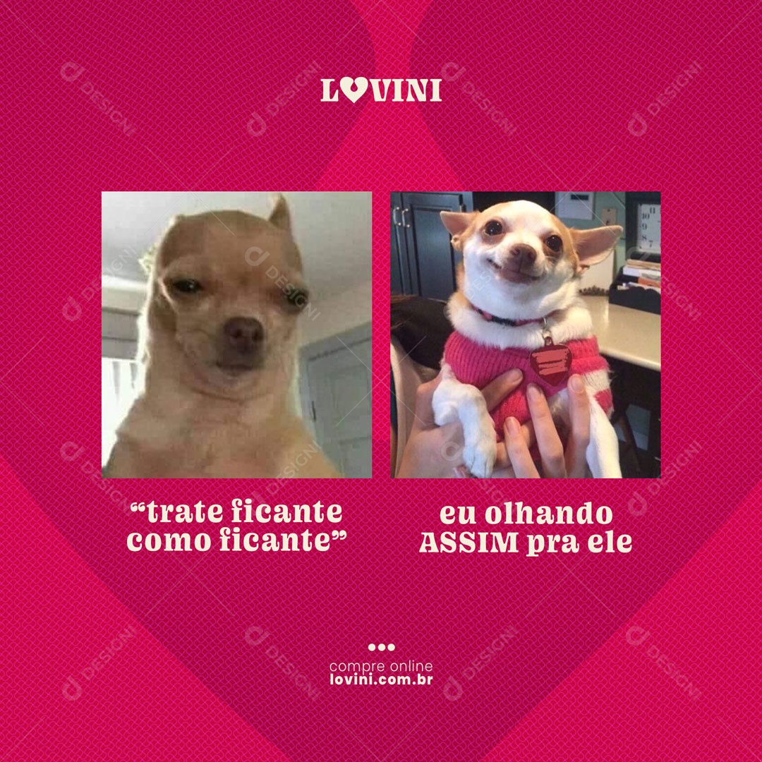 Meme Sex Shop Social Media PSD Editável