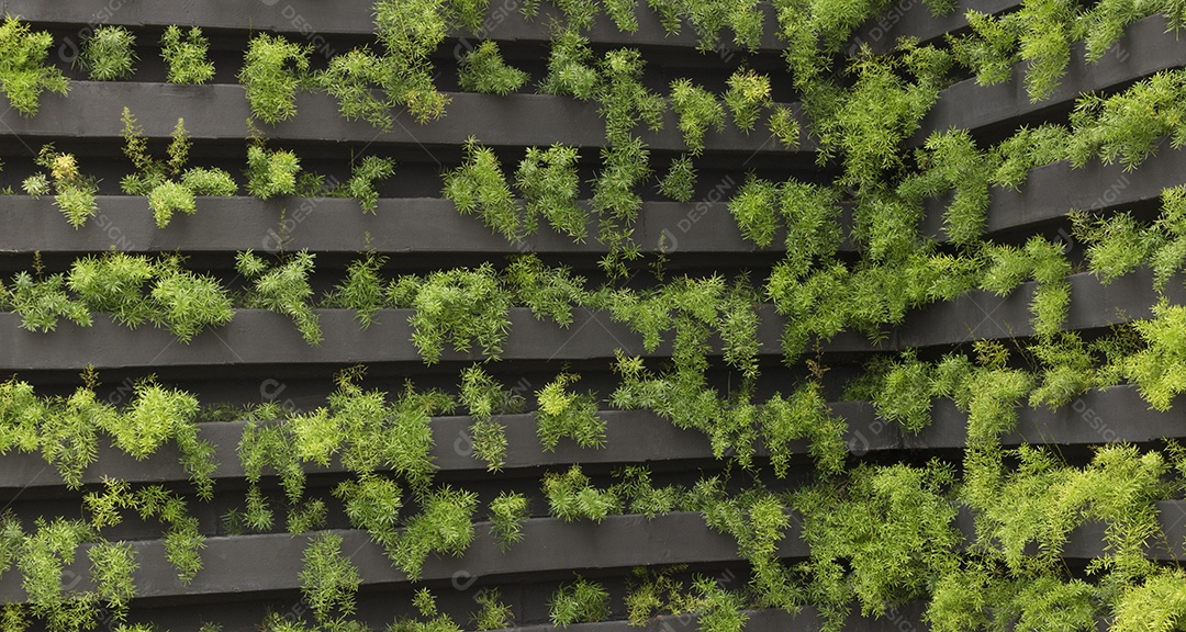 Jardim vertical com crescimento de plantas jovens. Vida sustentável