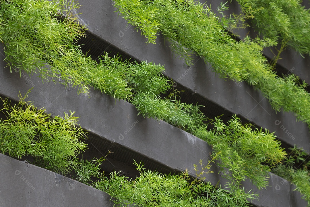 Jardim vertical com crescimento de plantas jovens. Vida sustentável