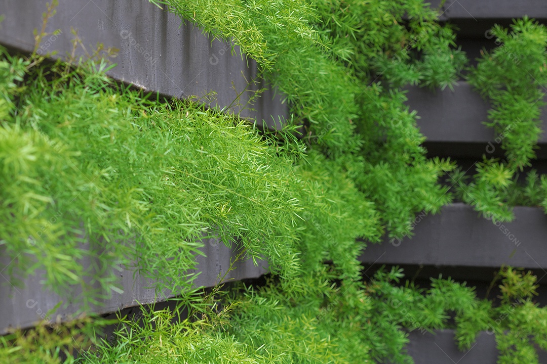 Jardim vertical com crescimento de plantas jovens. Vida sustentável
