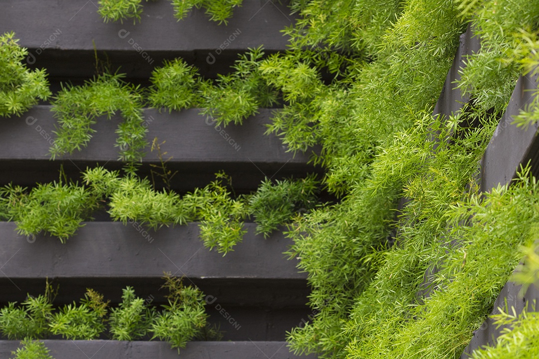 Jardim vertical com crescimento de plantas jovens. Vida sustentável
