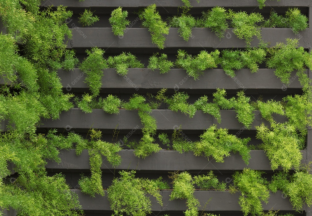 Jardim vertical com crescimento de plantas jovens. Vida sustentável