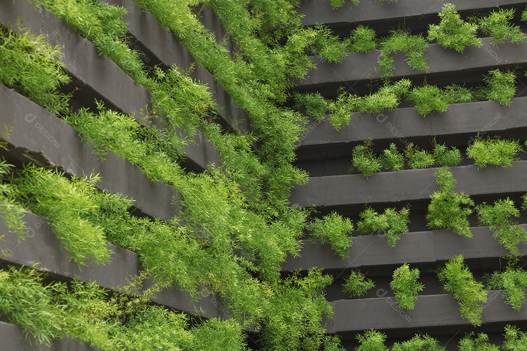 Jardim vertical com crescimento de plantas jovens. Vida sustentável