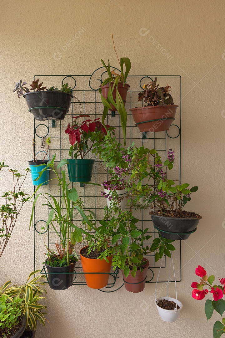 Jardim vertical na sacada do prédio. Vários tipos de plantas.