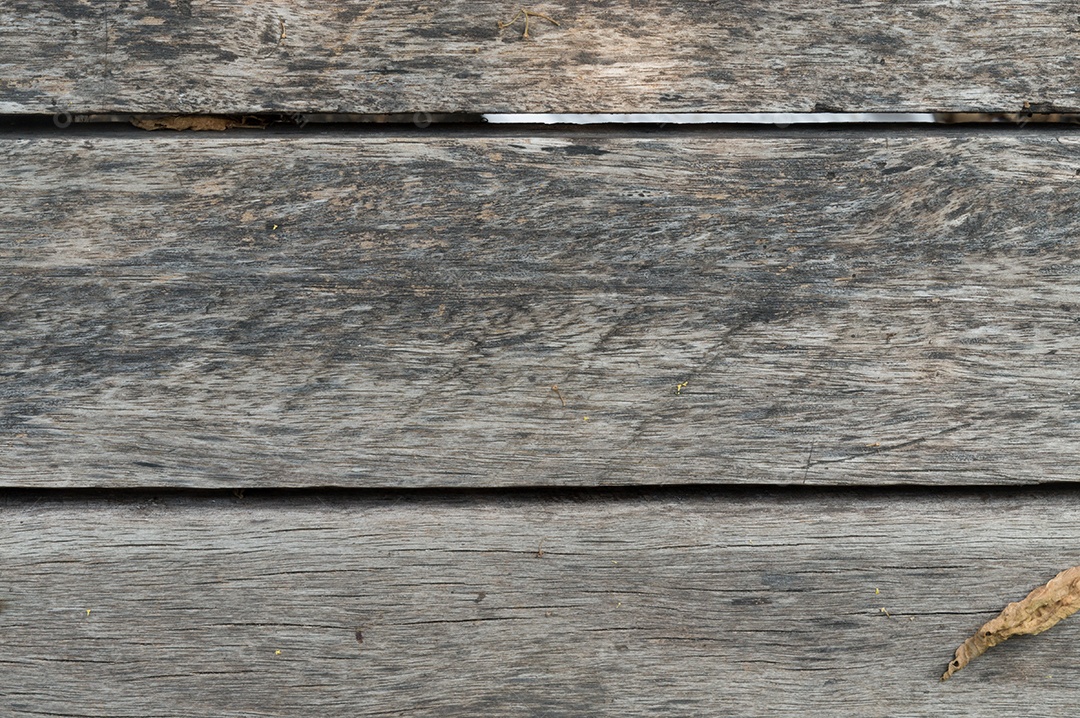 Três pranchas velhas de creme ou cinza resistidas com buraco de prego