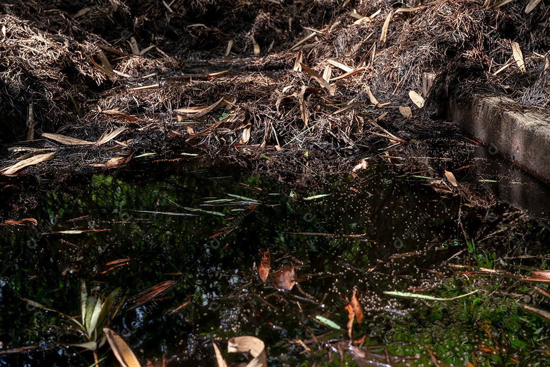 Pilha de compostagem no jardim. Composto construir solo saudável.