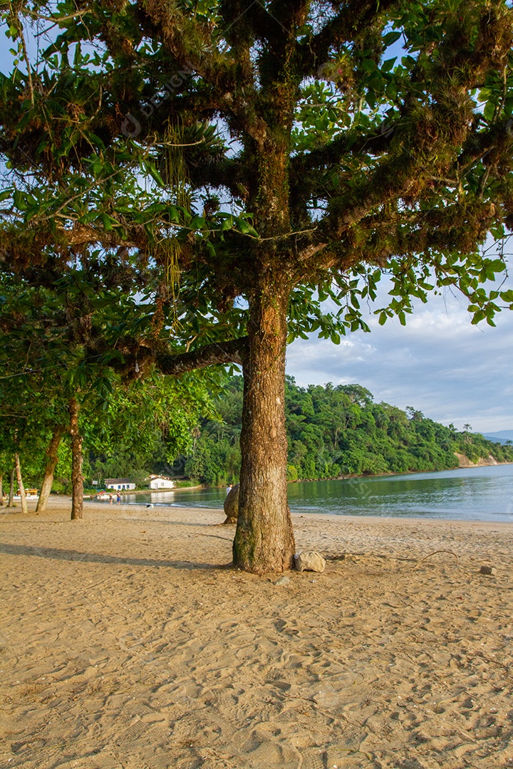 Praia do Pontal em Paraty, Rio de Janeiro.
