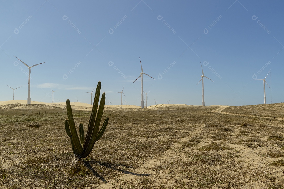 Parque eólico nas dunas do estado do Ceará
