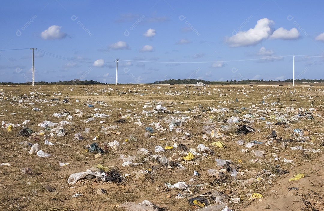 Lixo com sacos plásticos espalhados na zona rural às margens