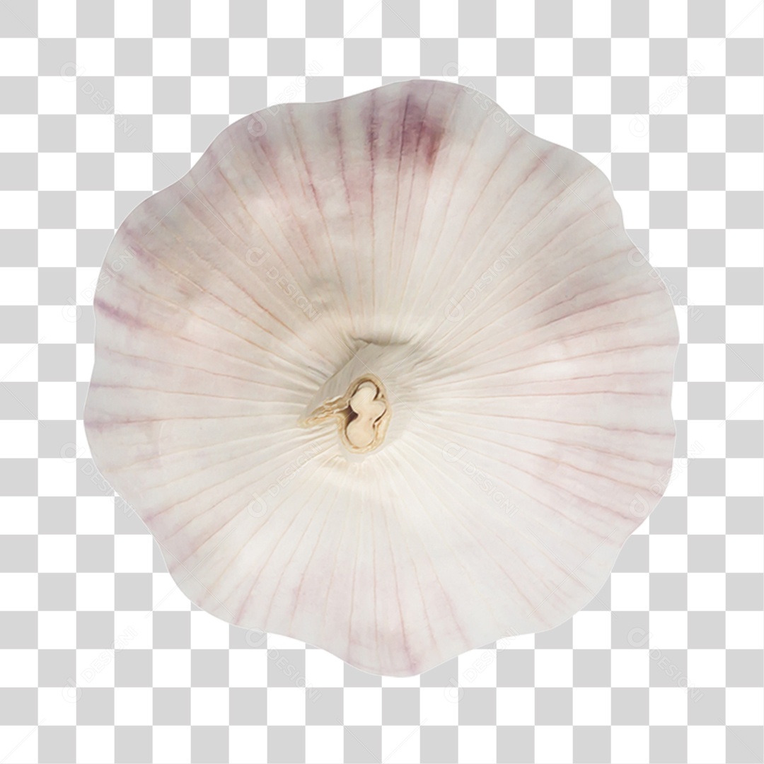 Cabeça de Alho PNG Transparente