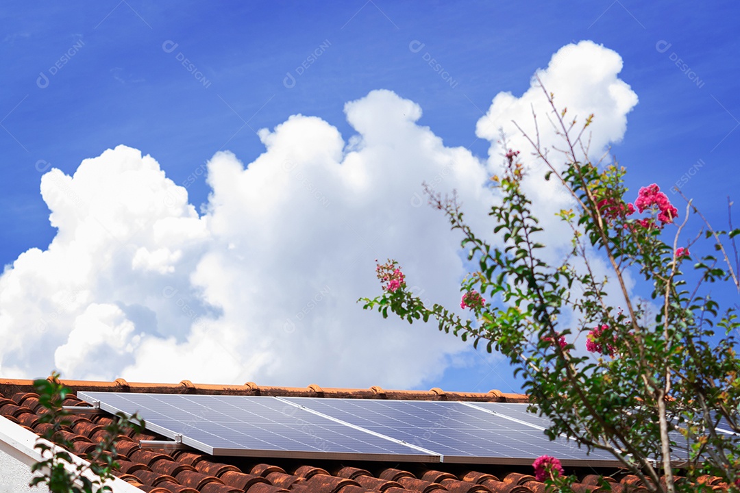 Planta de instalação fotovoltaica em casa com folhas e flores