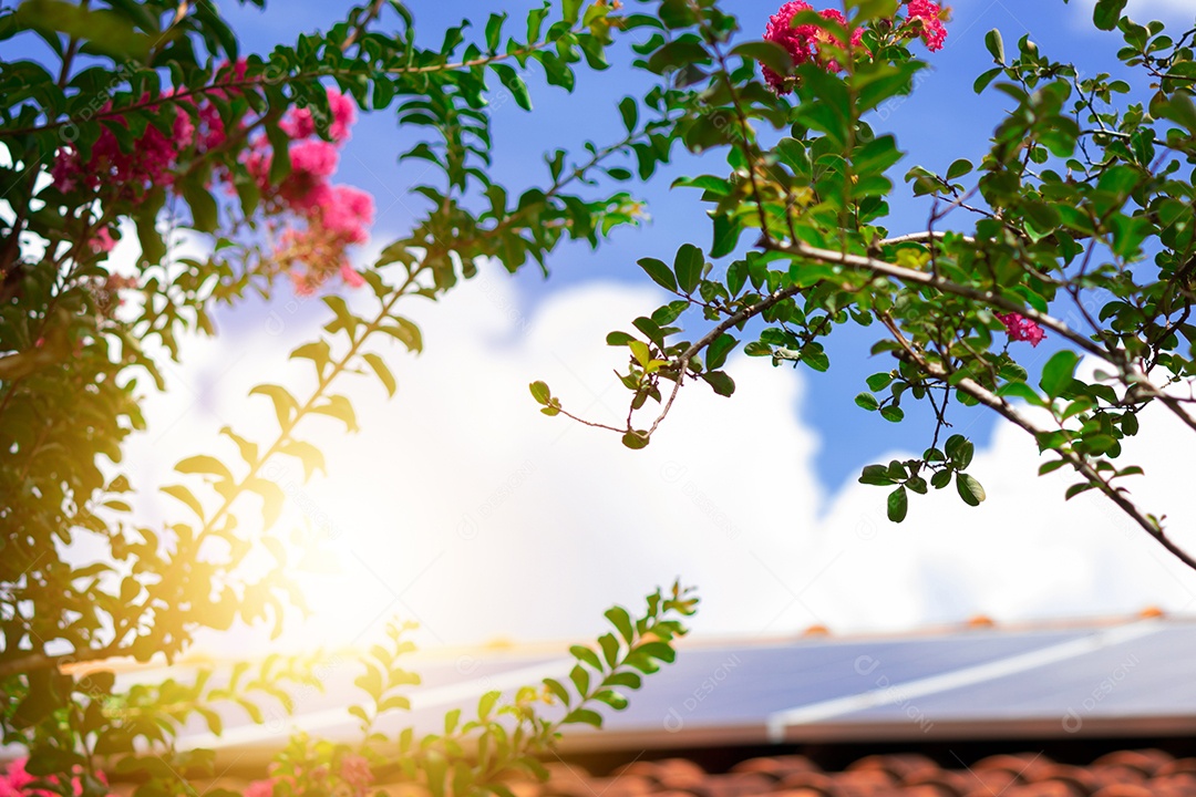 Planta de instalação fotovoltaica em casa com folhas e flores