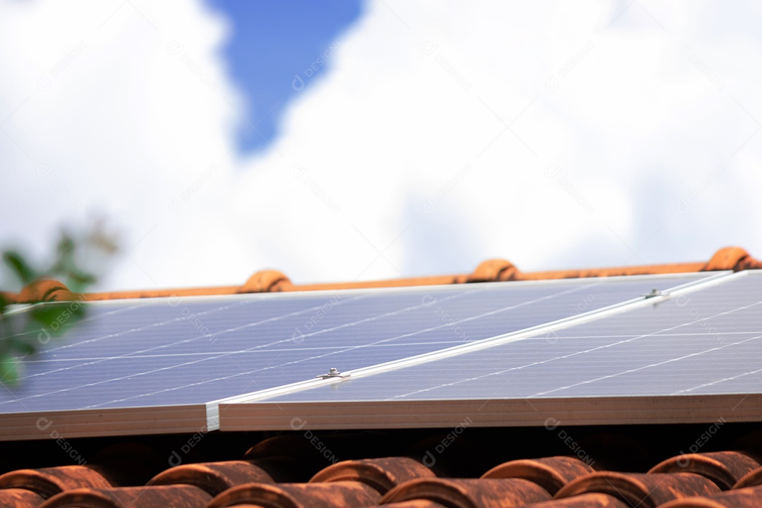 Planta de instalação fotovoltaica em casa com folhas e flores