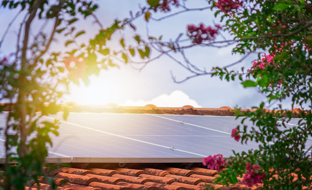 Planta de instalação fotovoltaica em casa com folhas e flores