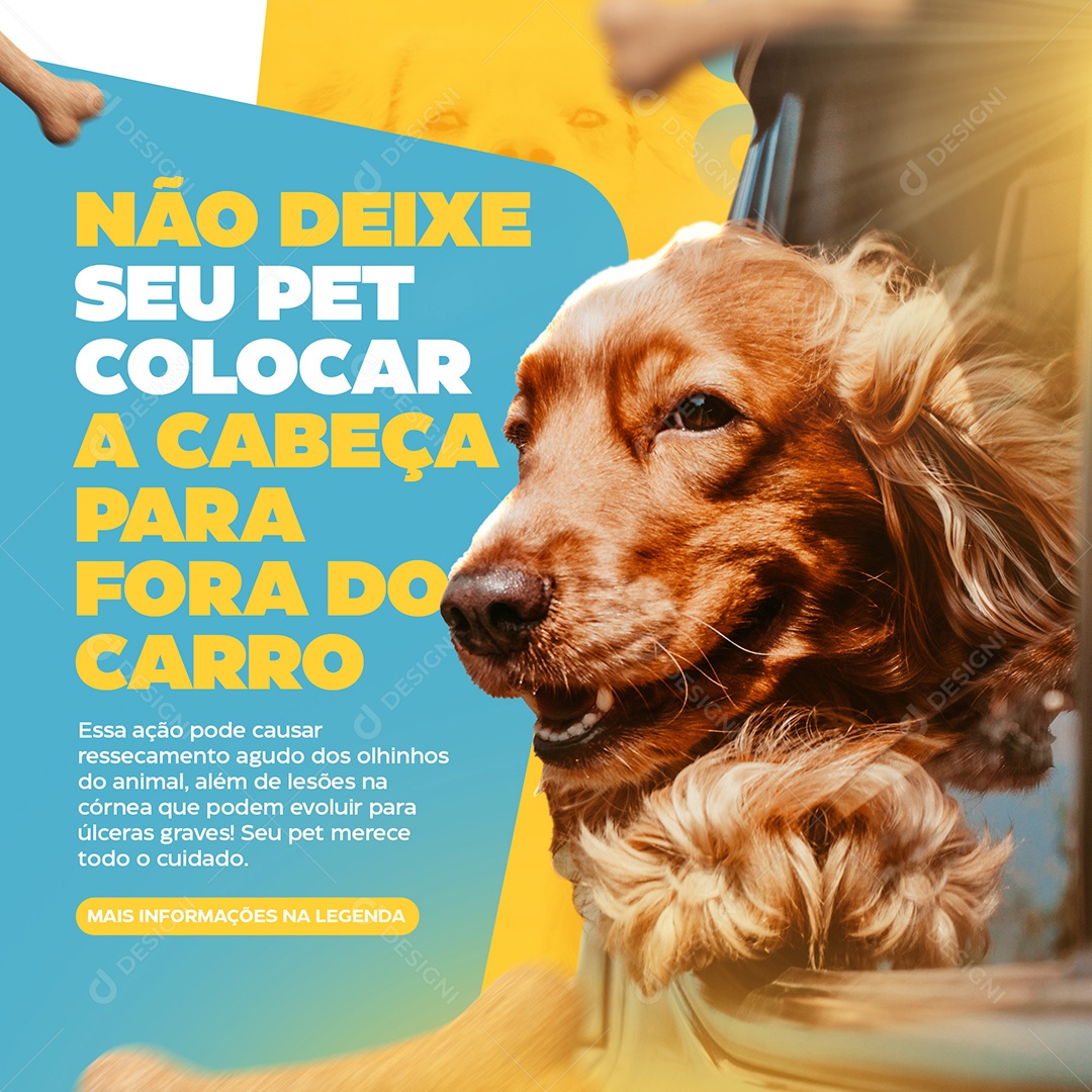 Não Deixe Seu Pet Colocar a Cabeça Para Fora do Carro Social Media PSD Editável