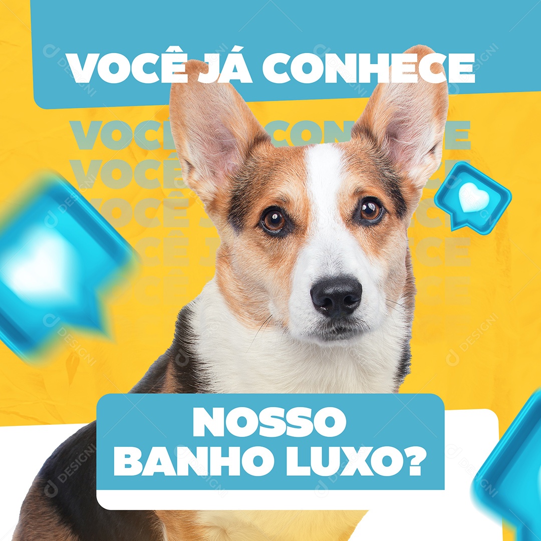 Você Já Conhece Nosso Banho Luxo Social Media PSD Editável