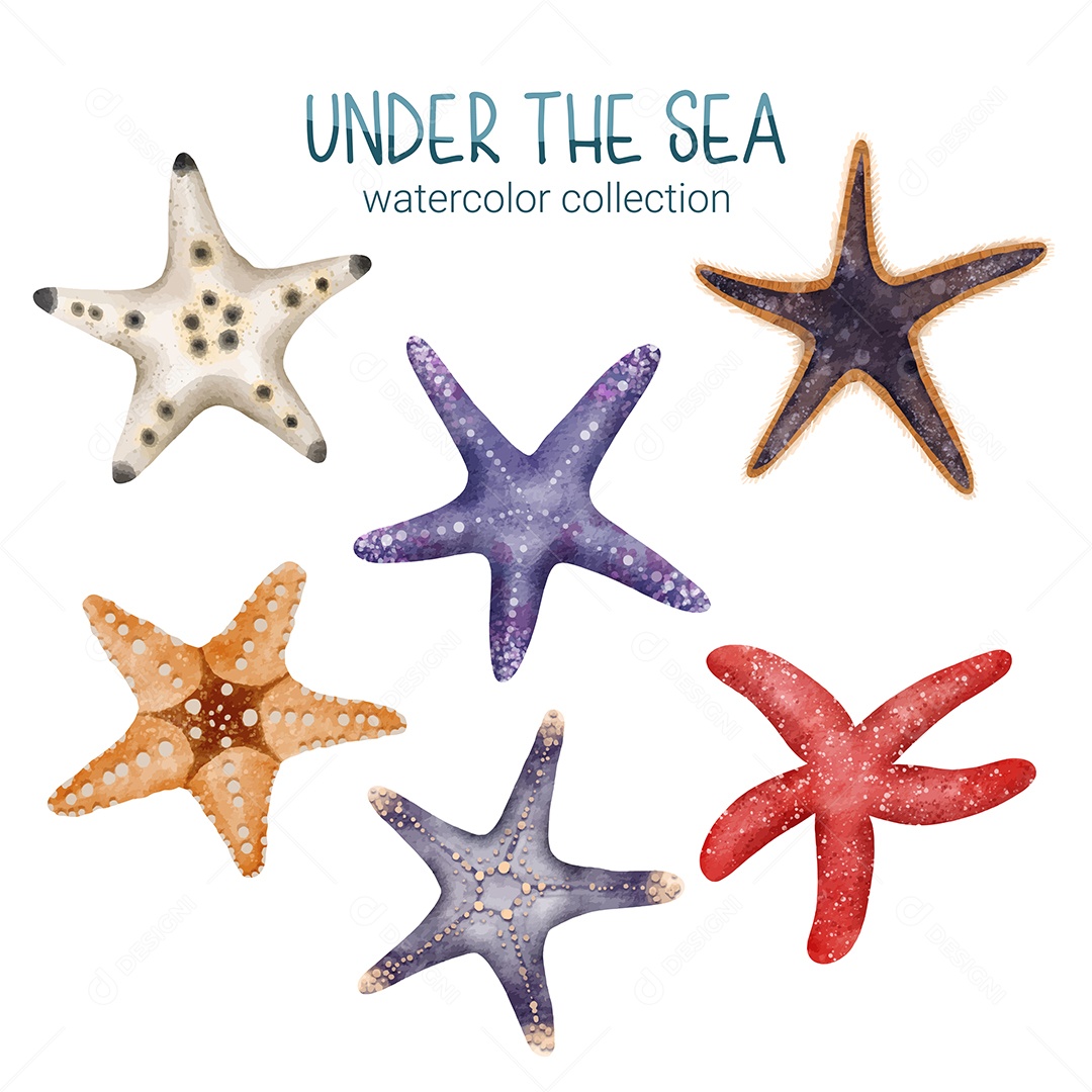 Coleção de Estrelas do Mar Vetor EPS