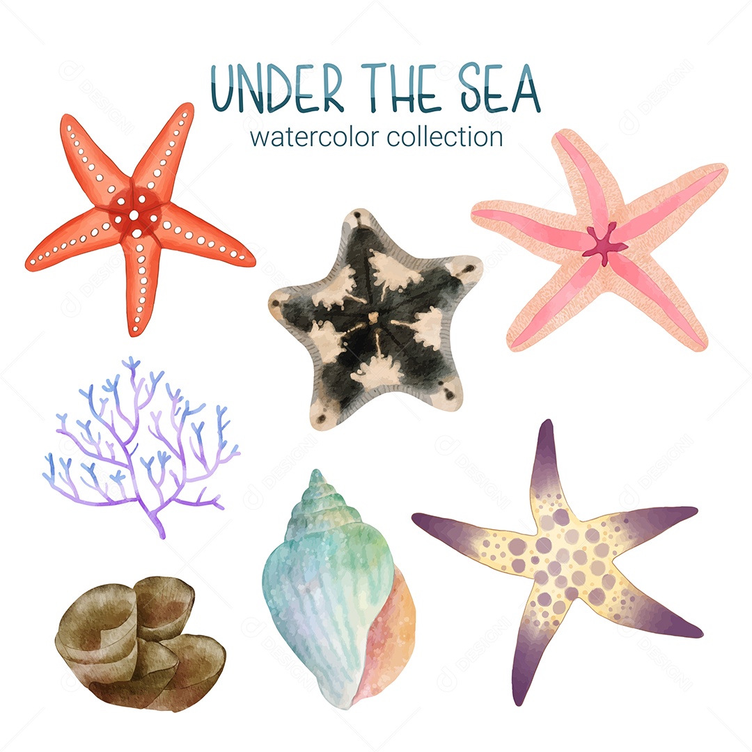 Coleção de Plantas e Animais Marinhos Vetor EPS