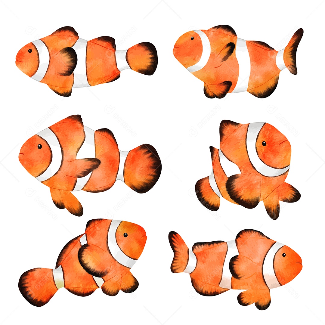 Coleção de Peixes Marinhos Vetor EPS