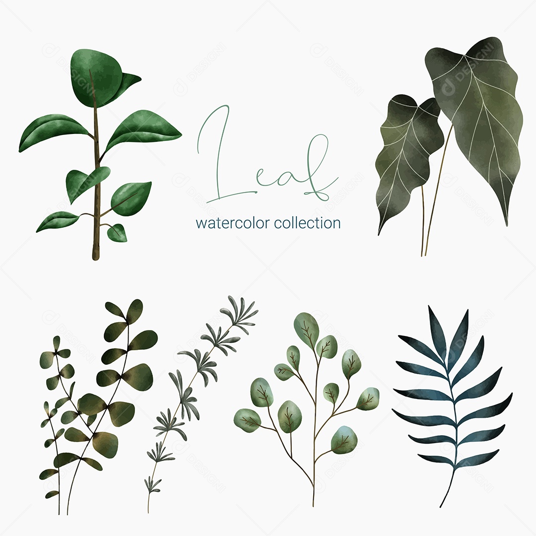 Coleção de Folha Verde Plantas Ervas Da Floresta e Folgas Tropicais Vetor EPS