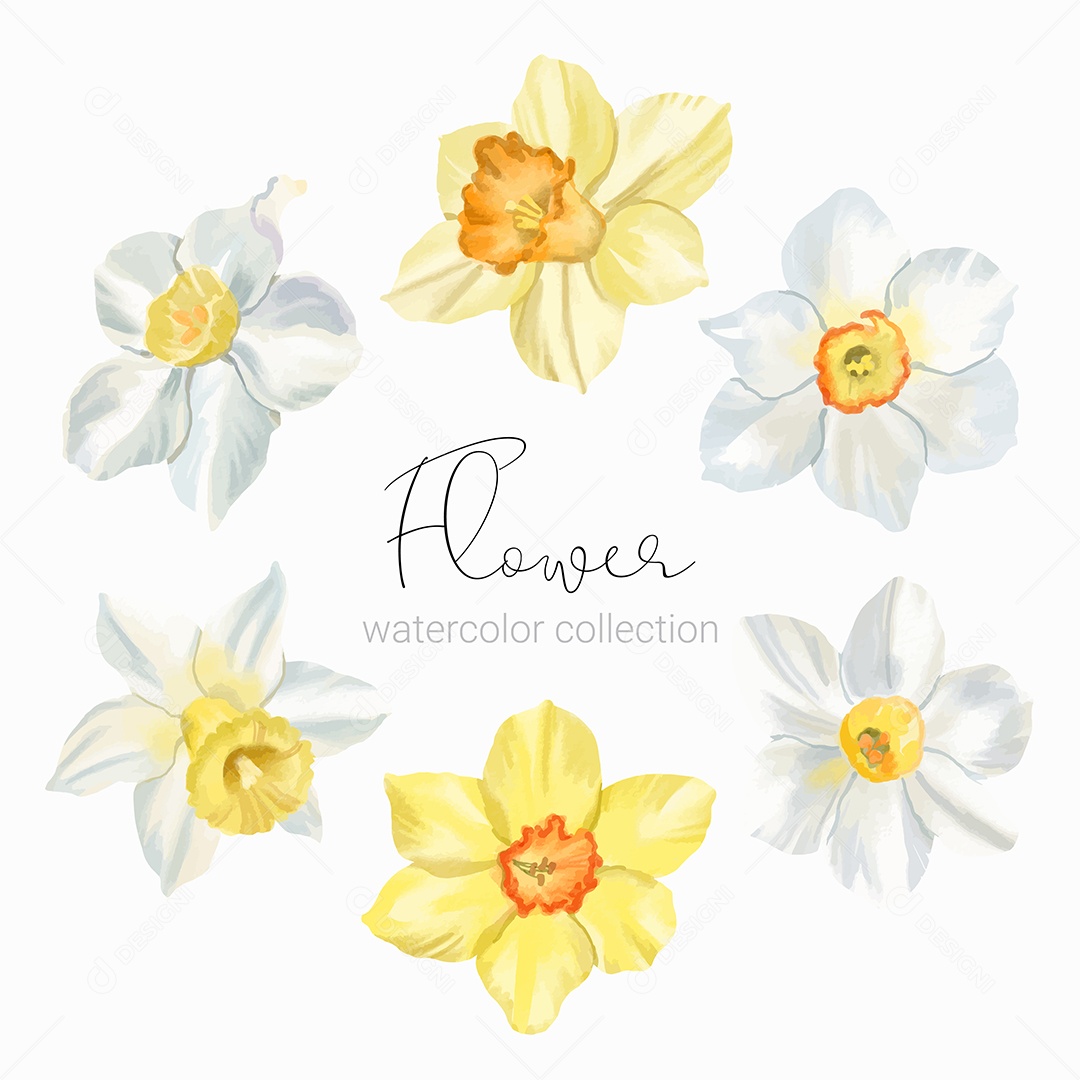 Set of Floral Elements for Decoration in Cartoon Vector EPS