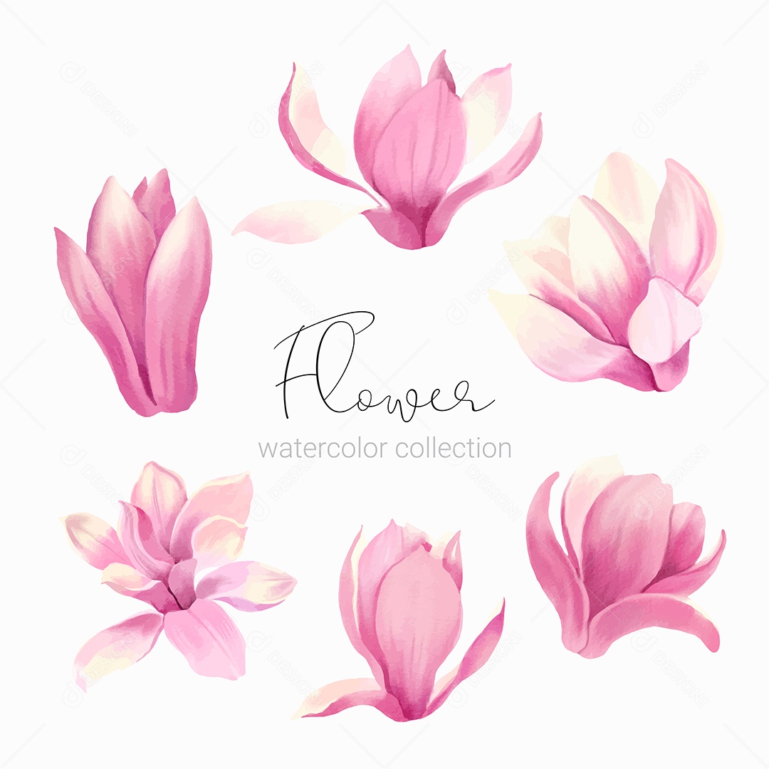 Conjunto de Elementos Florais Rosa para Decoração em Desenhos Animados Vetor EPS