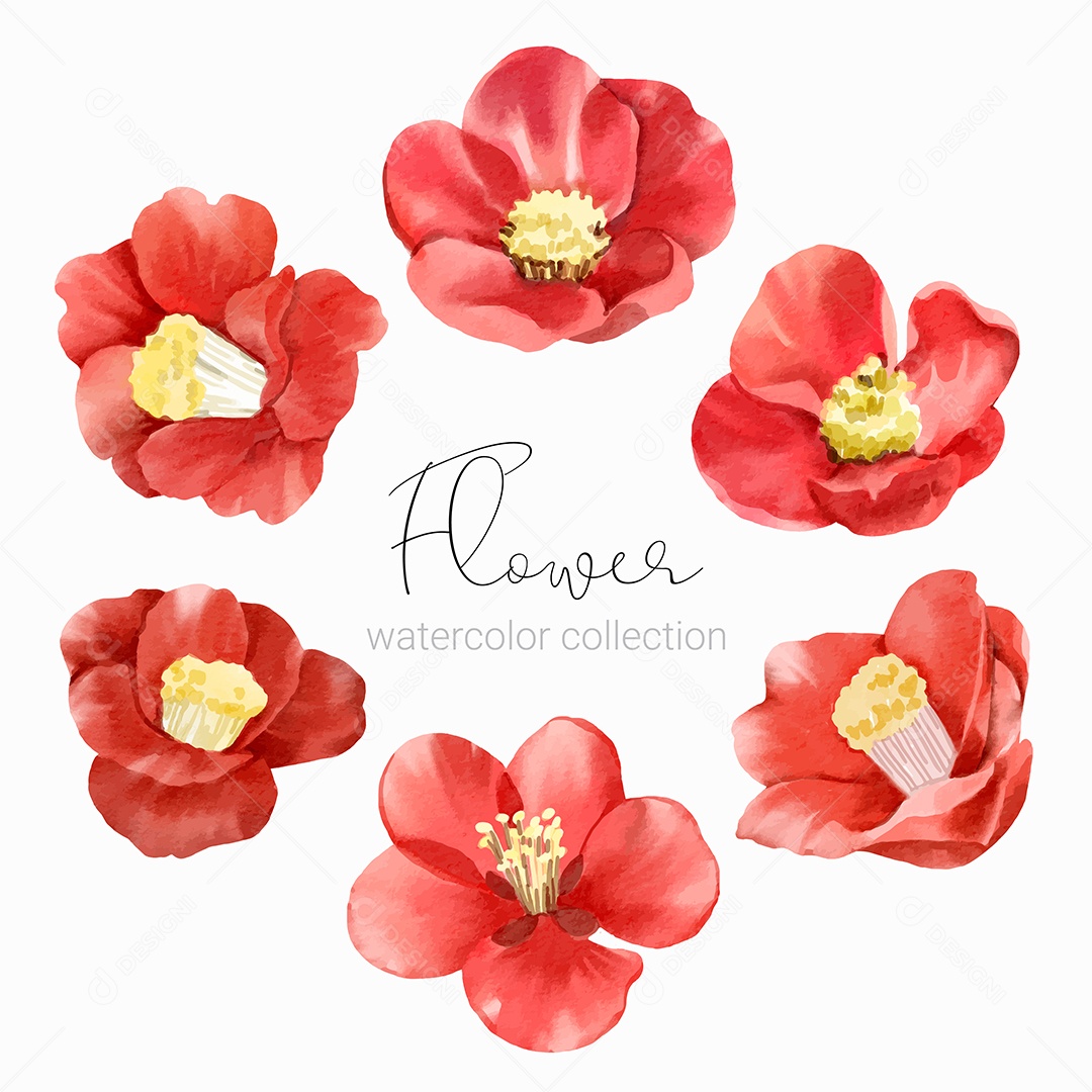 Conjunto de Elementos Florais para Decoração em Desenhos Animados Vetor EPS