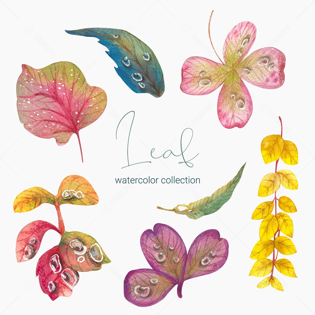 Coleção de Folha Plantas Ervas Da Floresta e Folgas Tropicais Vetor EPS