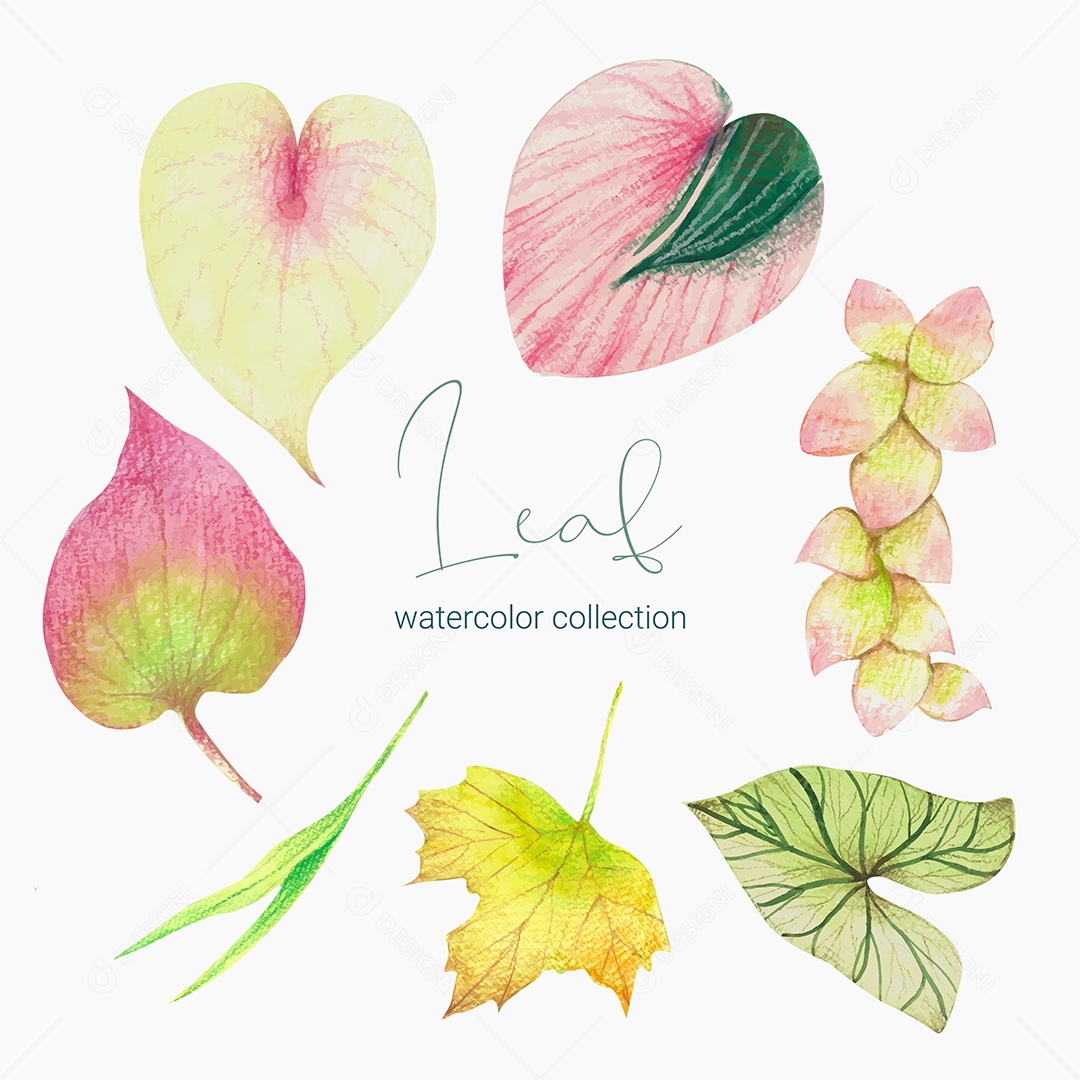 Coleção de Folha Verde Plantas Ervas Da Floresta e Folgas Tropicais Vetor EPS