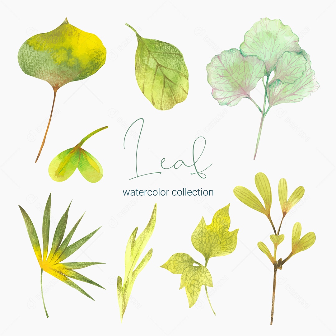 Coleção de Folha Verde Plantas Ervas Da Floresta e Folgas Tropicais Vetor EPS