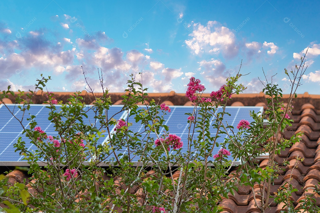 Planta de instalação fotovoltaica em casa com folhas e flores