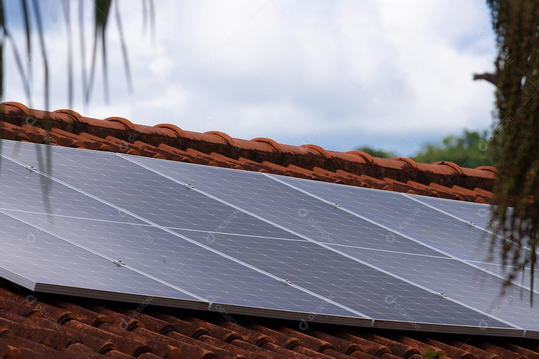 Planta de instalação fotovoltaica em casa com folhas e flores