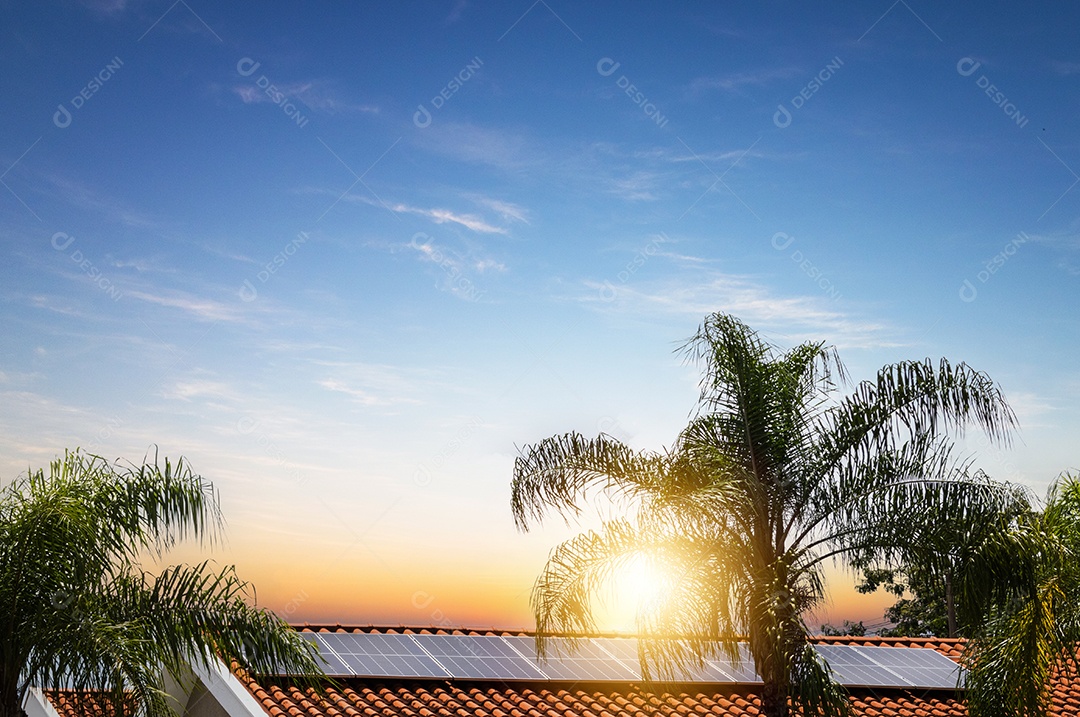 Planta de instalação fotovoltaica em casa com folhas e flores